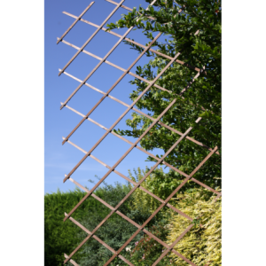 Zoom GRIGLIATO GELSOMINO O GLICINE ESTENDIBILE 180x45 cm