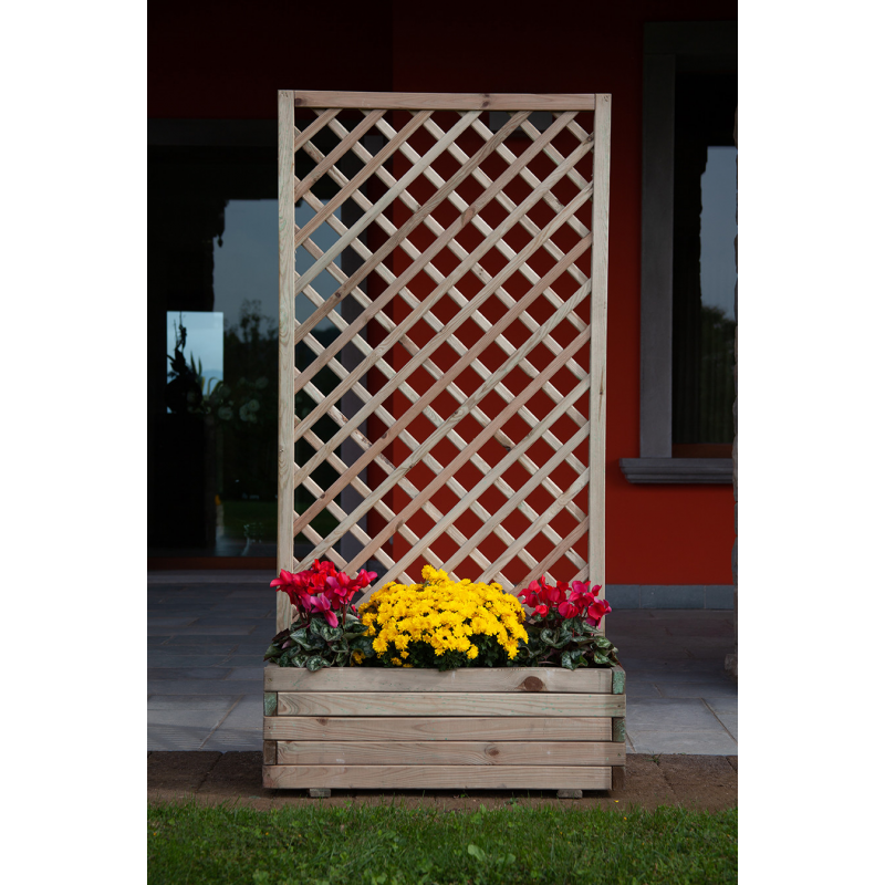 Composizione Orchidea Cm. 90 Losa