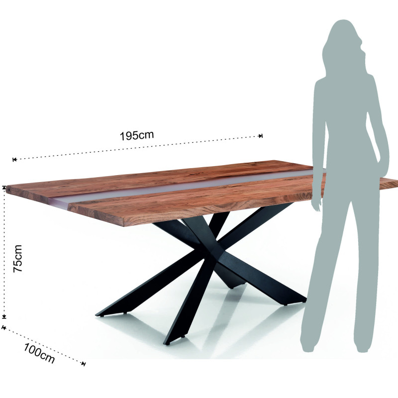 Tavolo Anubi 205X110X12 Cm