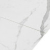 Tavolo Allungabile  167 X 96 H17 Cm