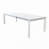 TAVOLO ALLUNGABILE ARGOS 200/300 X 100