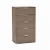 Cassettiera 5 cassetti rovere grigio compatta elegante per casa