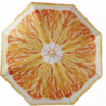 Ombrellone Spiaggia 180cm Protezione UV Frutta colorata