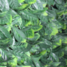 Siepe Sintetica Photinia per Giardino e Balcone, Modulare