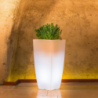 VASO LUMINOSO HYDRUS 70 h CON LED MULTICOLOR E BATTERIA SOLARE