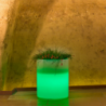 Vaso Luminoso Delphinus 50 H LED Multicolor Solare Esterno
