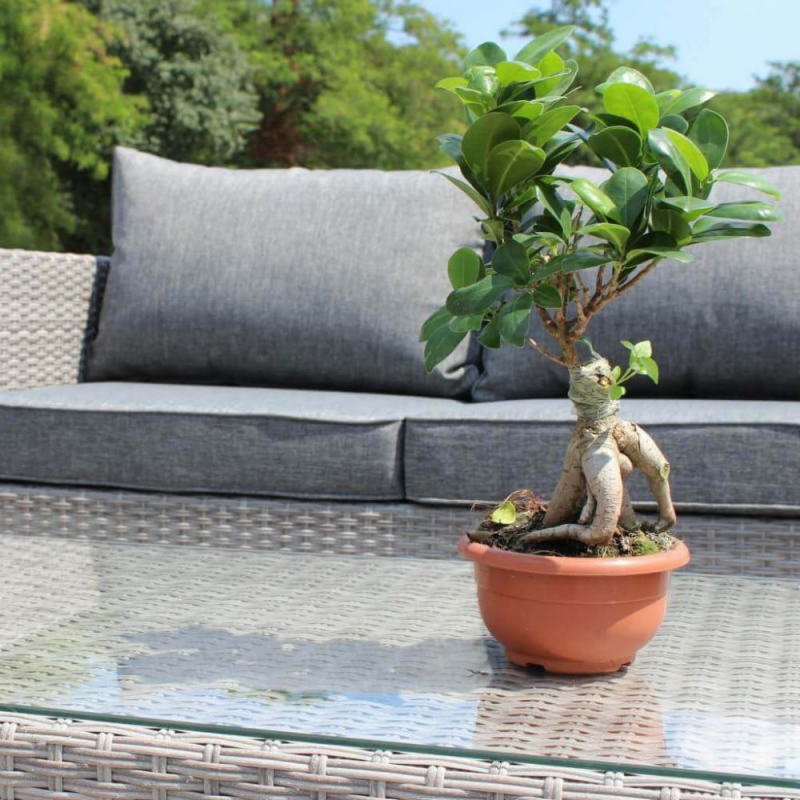 SALOTTO CILE 3 P con CUSCINI