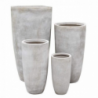SET VASI ORCHIDEA