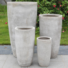 SET VASI ORCHIDEA