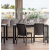 Sedia Virginia Marrone in Wicker per Giardino e Casa