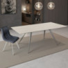 Tavolo Allungabile  146X85X13 Cm