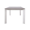 Tavolo Arenzano 211/276 Alluminio Bianco Top Alluminio Effetto Legno Moia