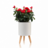 VASO AUTOINNAFFIANTE PER ESTERNO / INTERNO CALLA - A TOMASUCCI