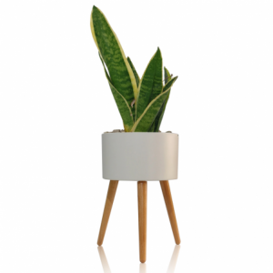 Zoom VASO AUTOINNAFFIANTE PER ESTERNO / INTERNO CALLA - C TOMASUCCI