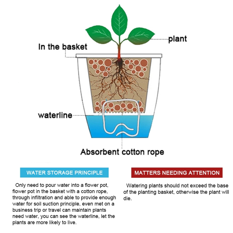 VASO AUTOINNAFFIANTE PER ESTERNO / INTERNO POPPY LARGE TOMASUCCI
