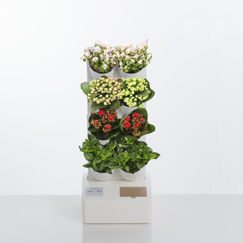 GIARDINO VERTICALE CON VASI AUTOINNAFFIANTI PER ESTERNO / INTERNO BUSH 8 TOMASUCCI