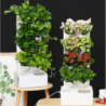 GIARDINO VERTICALE CON VASI AUTOINNAFFIANTI PER ESTERNO / INTERNO BUSH 8 TOMASUCCI