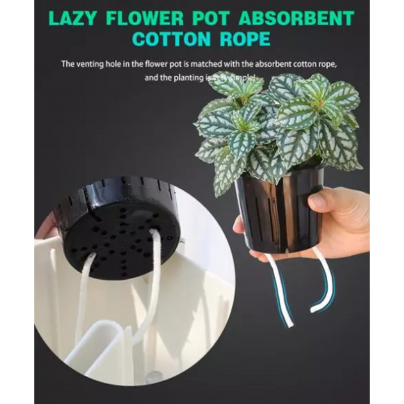 GIARDINO VERTICALE CON VASI AUTOINNAFFIANTI PER ESTERNO / INTERNO BUSH 8 TOMASUCCI
