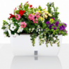 VASO AUTOINNAFFIANTE PER ESTERNO / INTERNO DAHLIA BIG TOMASUCCI