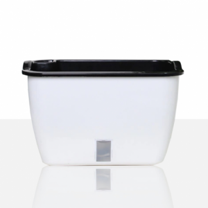 VASO AUTOINNAFFIANTE PER ESTERNO / INTERNO DAHLIA SMALL TOMASUCCI