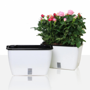 Zoom VASO AUTOINNAFFIANTE PER ESTERNO / INTERNO DAHLIA SMALL TOMASUCCI