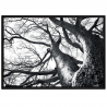 QUADRO WINTER TREE TOMASUCCI