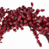 Coroncina plastica bacche ghiacciate rosso cm ø55