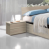 Set 2 comodini Manitoba 2 cassetti colore olmo moderni