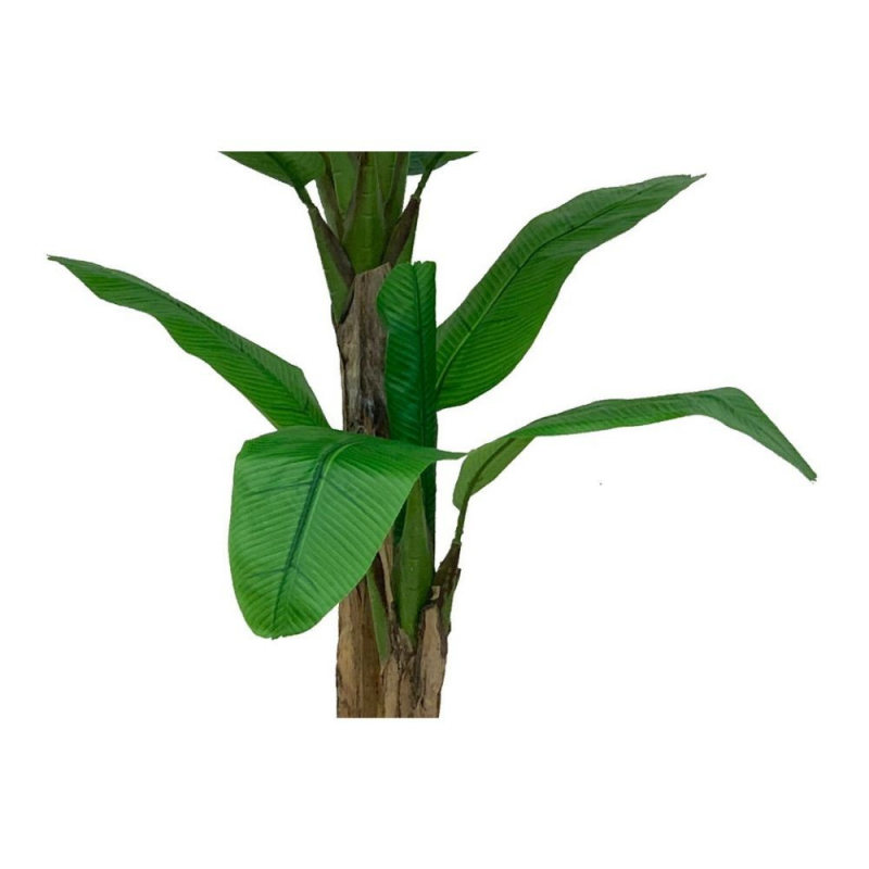 Pianta di Banano ornamentale 160 cm con vaso | Fioriere e Vasi