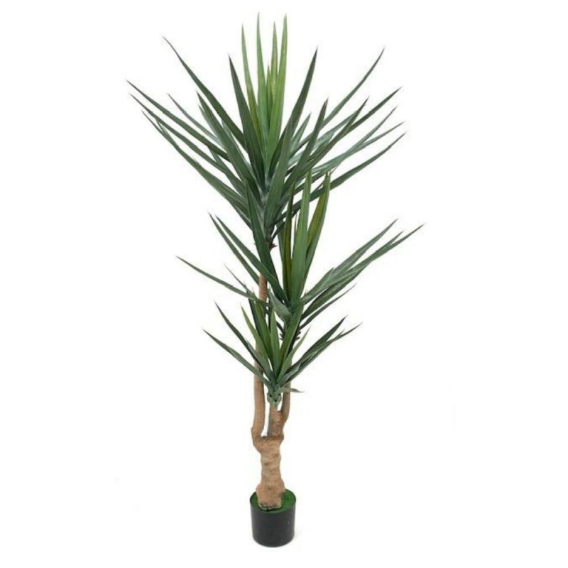 Pianta ornamentale Yucca 180 cm con vaso | Fioriere e Vasi