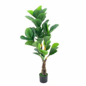 Pianta ornamentale Ficus Pandurata 125 cm con vaso realistica