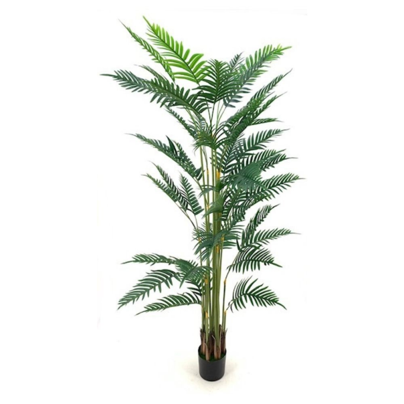 Pianta ornamentale Palma Areca 180 cm con vaso | Fioriere e Vasi