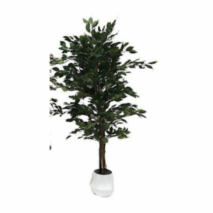Pianta ornamentale Ficus variegato 120 cm con vaso realistica