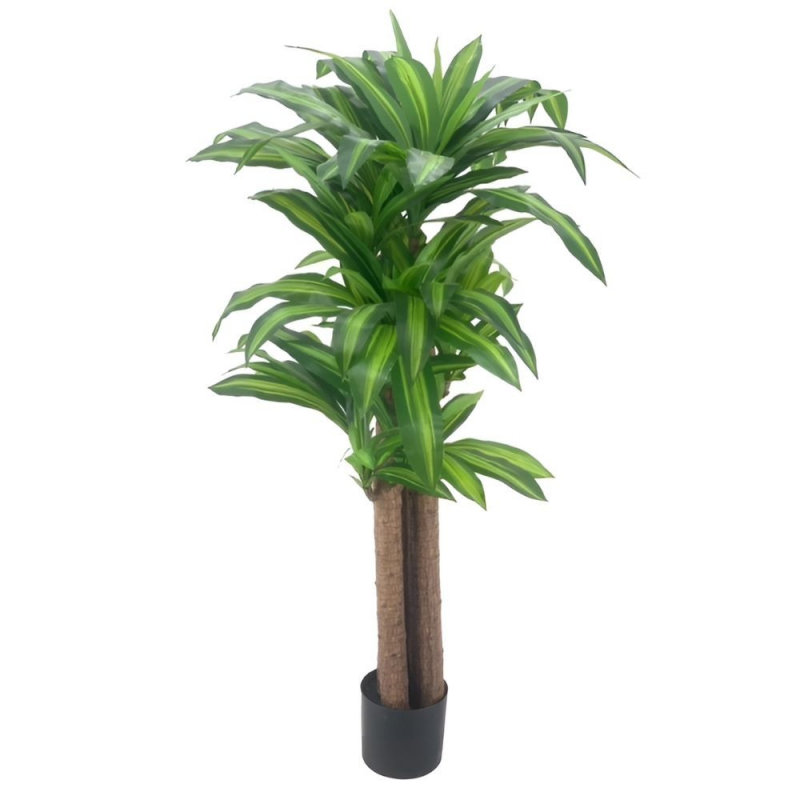 Pianta ornamentale Dracena 150 cm | levante shop
