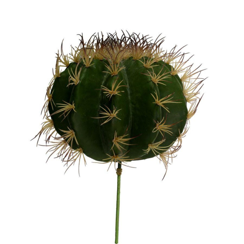 Ramo cactus verde Ø25xH17-30 cm decorativo moderno