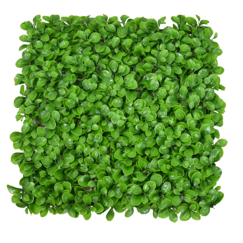 Pannello peperomia 50x50x0,5 cm decorazione verde realistica