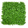 Pannello peperomia 50x50x0,5 cm decorazione verde realistica