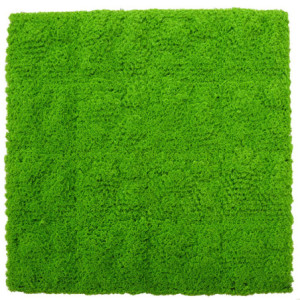 Pannello verde muschio 100x100 cm decorazione naturale moderna