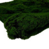 Tappeto fibra sintetica muschio 100x100 cm decorativo verde