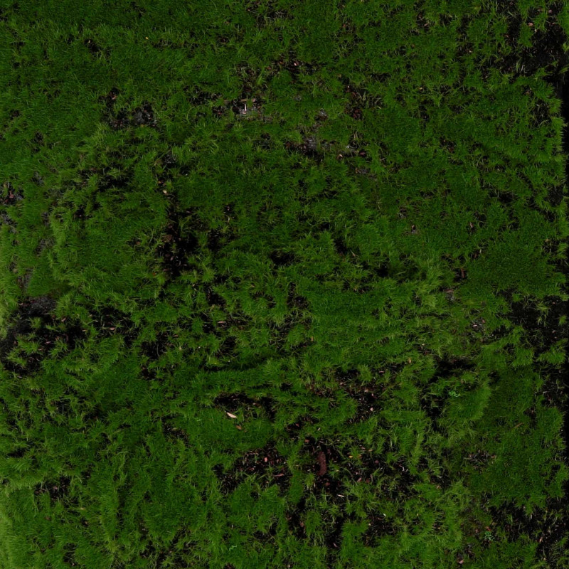 Tappeto fibra sintetica muschio 100x100 cm decorativo verde