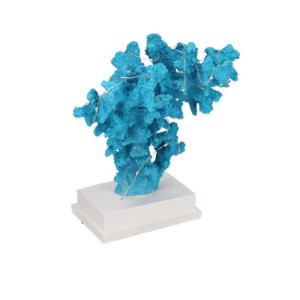 Zoom Corallo resina azzurro con led cm 20x17h24,5