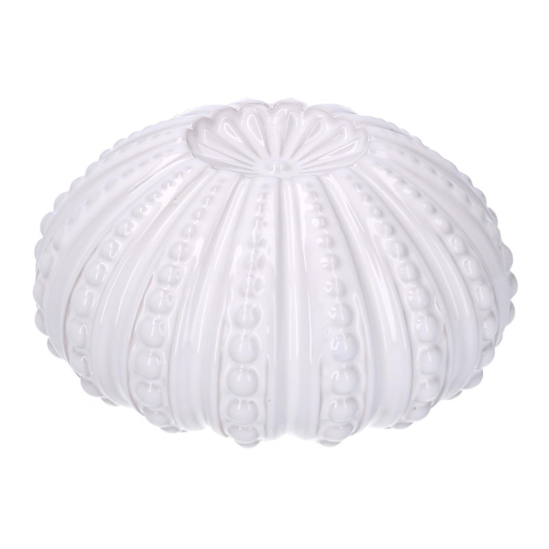 Riccio di mare ceramica bianco tondo Ø18xH9,3 cm decorazione