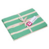 Tovaglia Pop Righe Verde Acqua 140x240 cm – Eleganza Casa