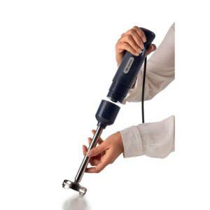 Zoom Frullatore a immersione con tritatutto 700W, 2 velocità, lama inox, bicchiere trasparente - Dark & Sahara Grey