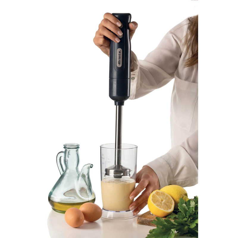 Frullatore a Immersione Tritatutto 700W 2 Velocità Inox Grigio