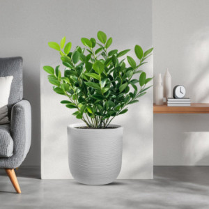 Zoom Vaso in resina da esterno interno per piante cilindro di design d.35x34h Raffaello Bianco