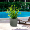 Vaso in resina Raffaello verde D35x34H per esterno e interno