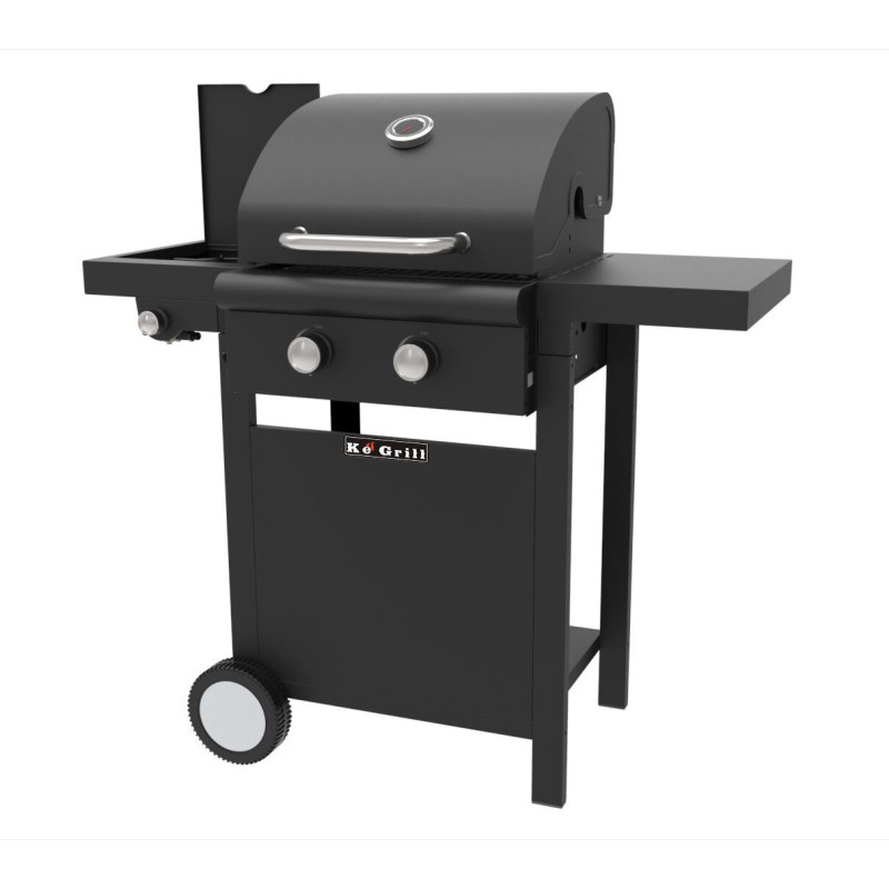 Arrosto Basic barbecue a pietra lavica 2 fuochi 1 laterale