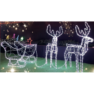 Slitta con Due Renne LED 3D Tubo 32mt Bianco Decorazione Natale