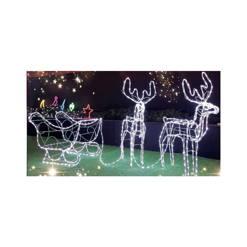 Slitta con Due Renne LED 3D Tubo 32mt Bianco Decorazione Natale